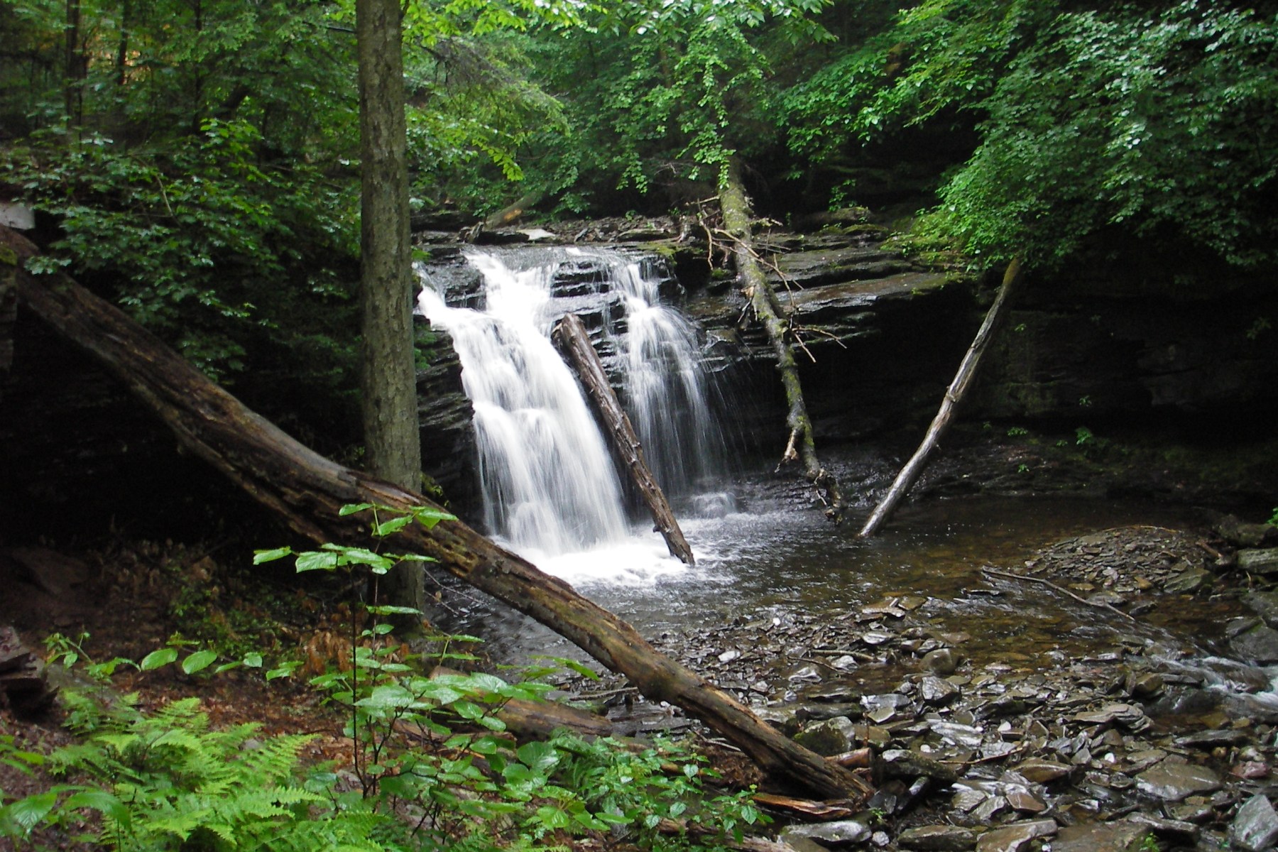 Ricketts Glen